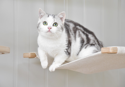 �������ʹ���-׷�󿵽�,����һ������