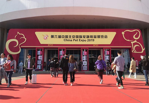 �������ʹ���-׷�󿵽�,����һ������