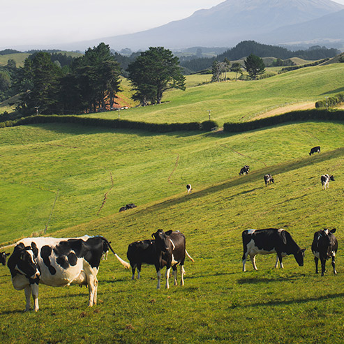 �������ʹ���-׷�󿵽�,����һ������