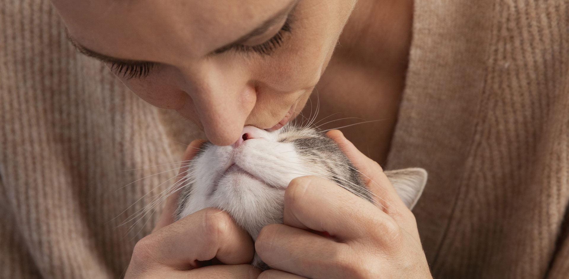 ��������:66856topʳ��ɷ����޹�˾