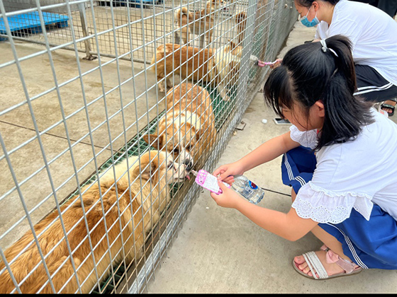 �������ʹ���-׷�󿵽�,����һ������